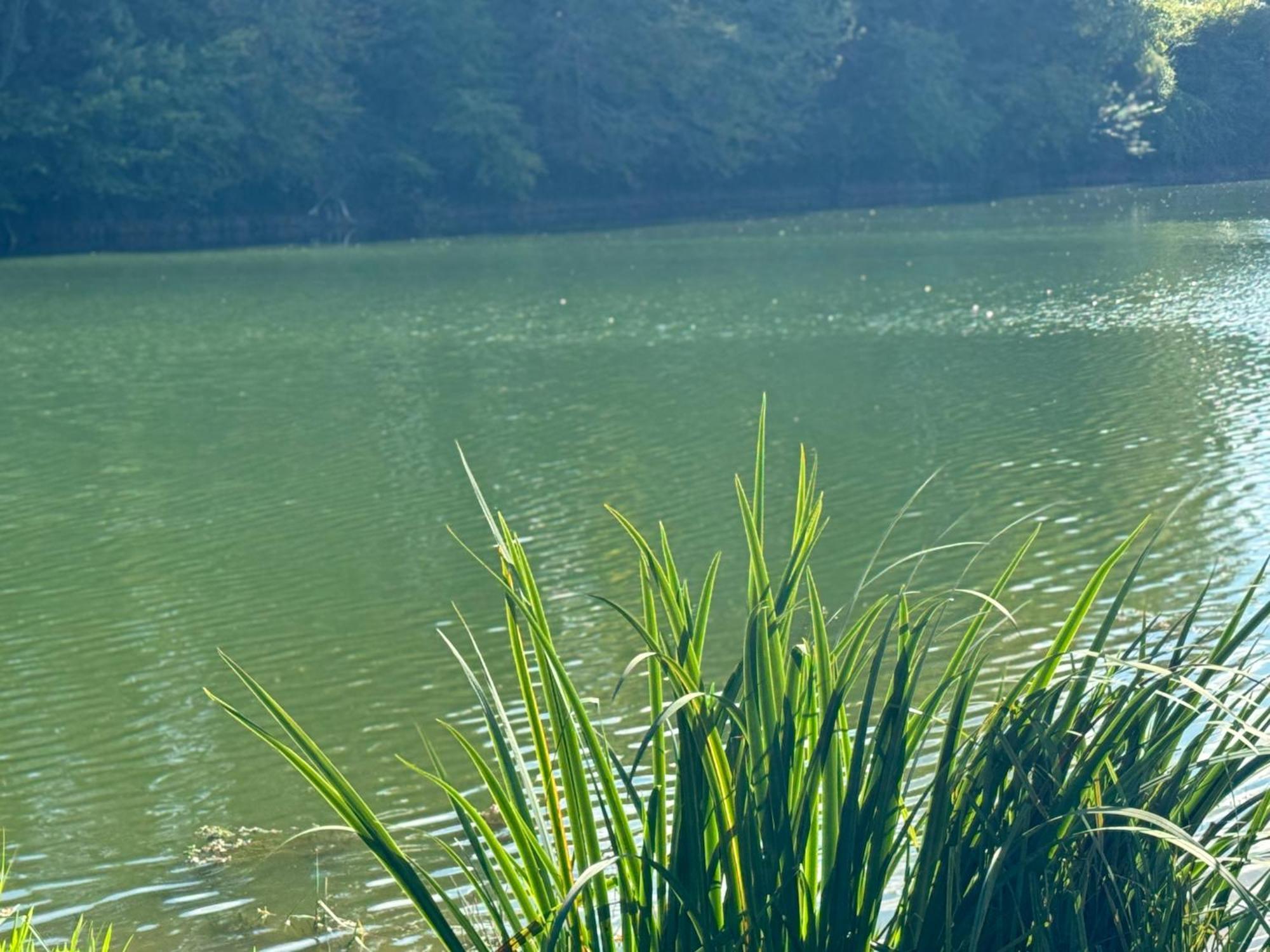 Lac De Lumiere. Relax With Rural Lakeside Living Herry Kültér fotó
